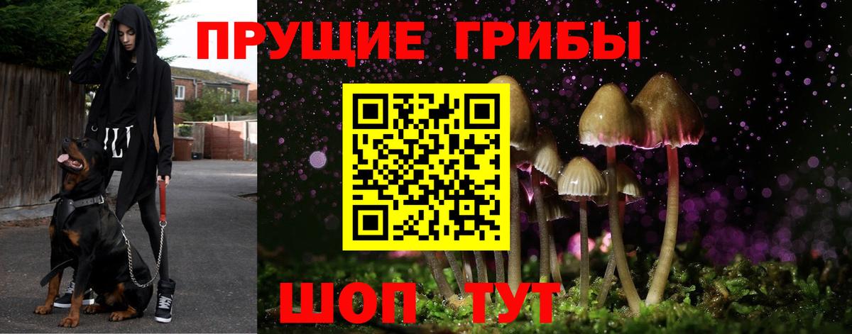 Псилоцибиновые грибы мицелий Тверь