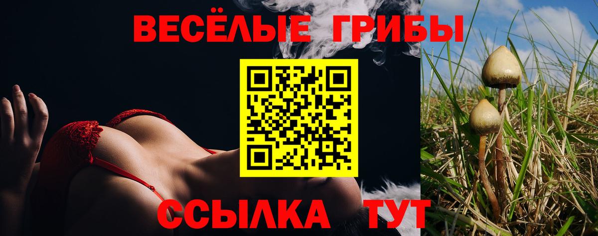 Тверь  Галлюциногенные грибы прущие грибы  купить закладку  Вход с VPN  Псилоцибиновые грибы Magic Shrooms 
