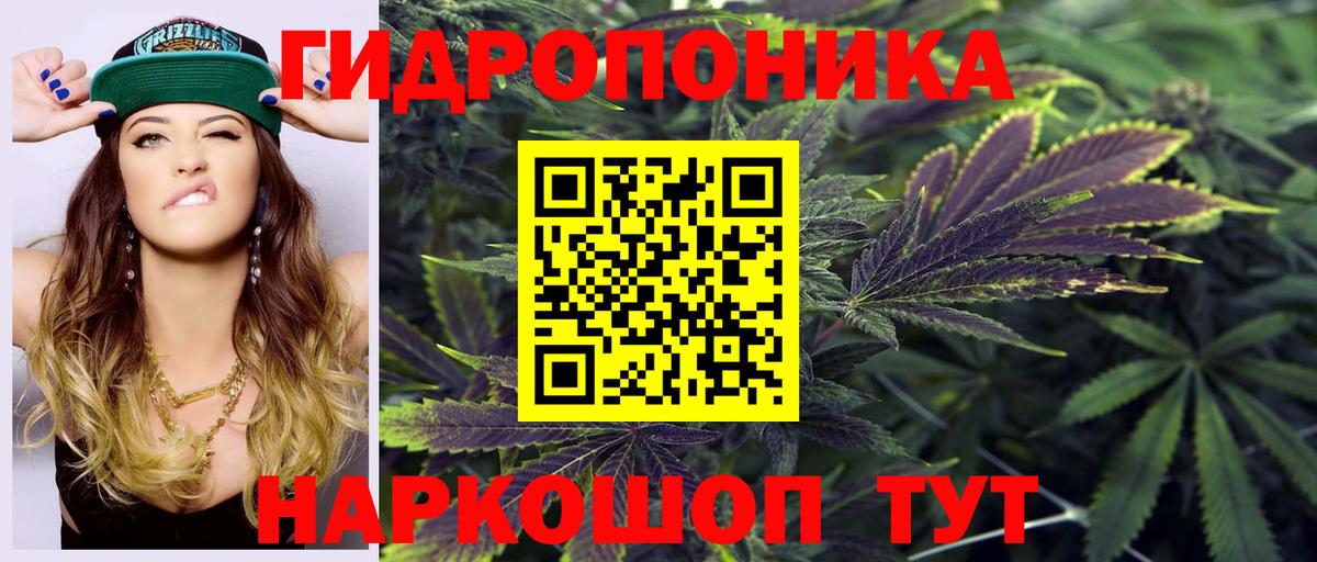 Конопля White Widow  Вход с VPN  Тверь  Марихуана SATIVA & INDICA  Канабис план  Бошки марихуана сатива 